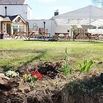 The Queen's Arms 3* Warwick-on-Eden
